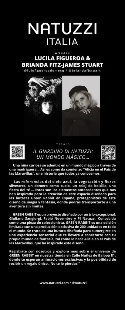 diseñador-grafico-madrid-natuzzi